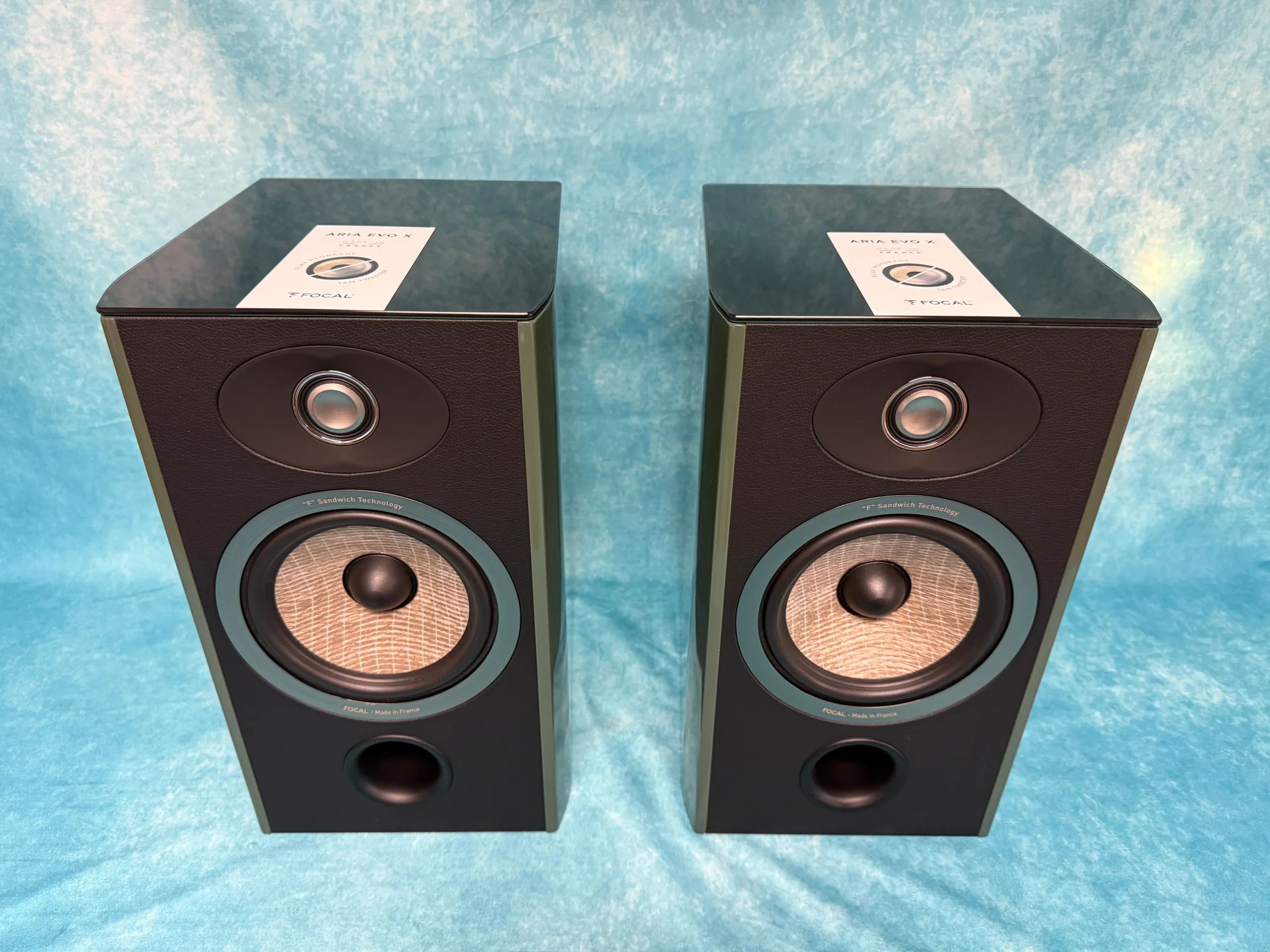 Focal OPEN BOX Aria Evo X No1 - Moss Green High Gloss - Pair - C Grade