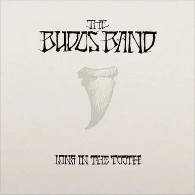 The Budos Band-Long in the Tooth(Vinyl LP)