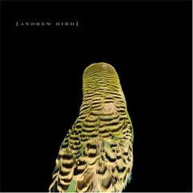 Andrew Bird-Armchair Apocrypha(Vinyl LP)