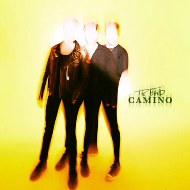 The Band Camino-The Band Camino(Vinyl LP)
