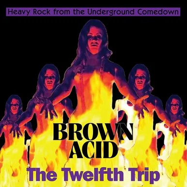 Brown Acid: The Twelfth Trip-Various Artists(Vinyl LP)