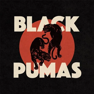 Black Pumas-Black Pumas (Colored Vinyl LP) * * *
