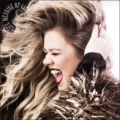 LDC59515___74508.1657990994.386.513.webp Kelly Clarkson-Meaning of Life(Vinyl LP) * * *
