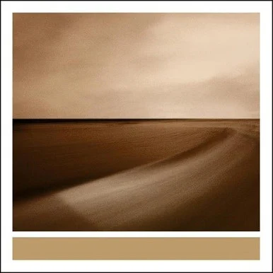 Brian Eno-Small Craft on a Milk Sea (Vinyl 2LP)