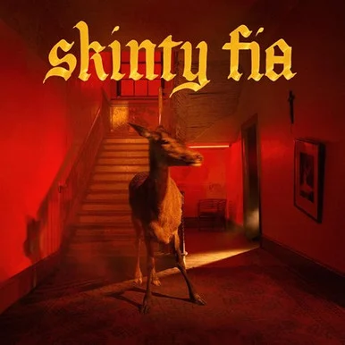 LDF01615___26844.1658002297.386.513.webp Fontaines D.C.-Skinty Fia(Vinyl LP) * * *
