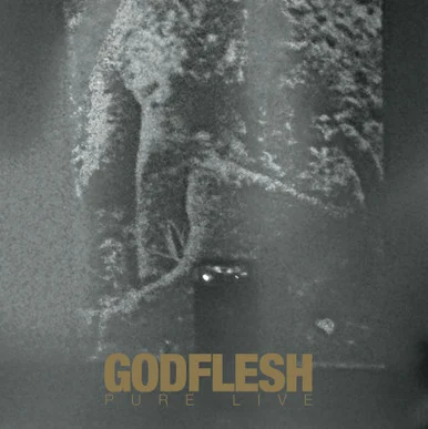 Godflesh-Pure Live(Vinyl 2LP)