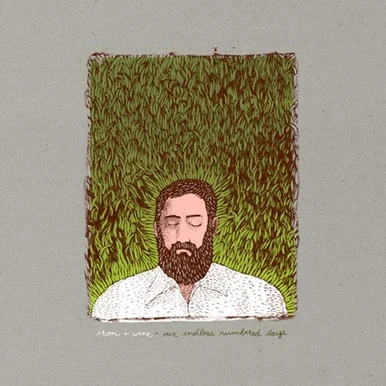 Iron and Wine-Our Endless Numbered Days: Deluxe Edition(Vinyl 2LP) * * *