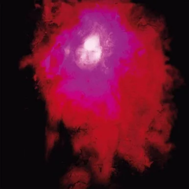 Porcupine Tree-Up the Downstair (Vinyl 2LP) * * *