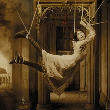 Porcupine Tree-Signify(Vinyl 2LP)