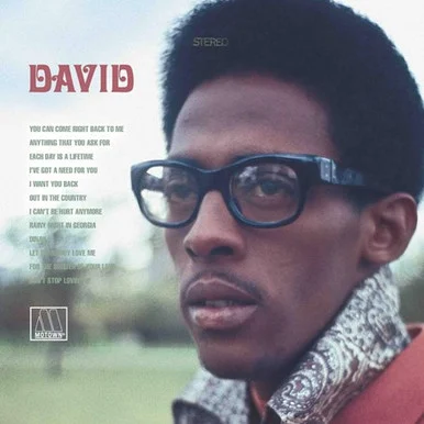 David Ruffin-David(Vinyl 2LP)