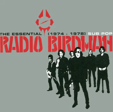 Radio Birdman-The Essential 1974 - 1978(Vinyl 2LP)