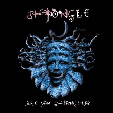 LDS06525___97746.1658002063.386.513.webp Shpongle-Are You Shpongled? (Vinyl 3LP)