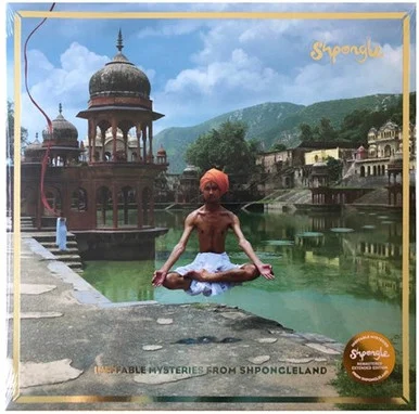 LDS06822A___75434.1658004575.386.513.webp Shpongle-Ineffable Mysteries From Shpongleland(Vinyl 3LP)