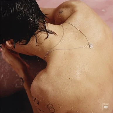 Harry Styles-Harry Styles (180g Vinyl LP)