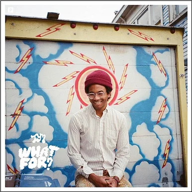 Toro Y Moi-What For? (Vinyl LP)