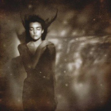 This Mortal Coil- It'll End In Tears(Vinyl LP)