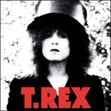 T. Rex-The Slider(Vinyl LP)