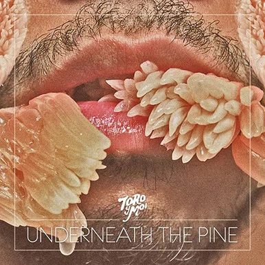 Toro Y Moi-Underneath The Pine (Vinyl LP)