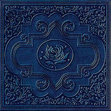 Ryan Adams-Cold Roses(180g Vinyl 2LP)