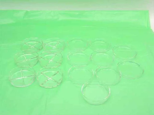 Pyrex GlassVarious Petri Dishes