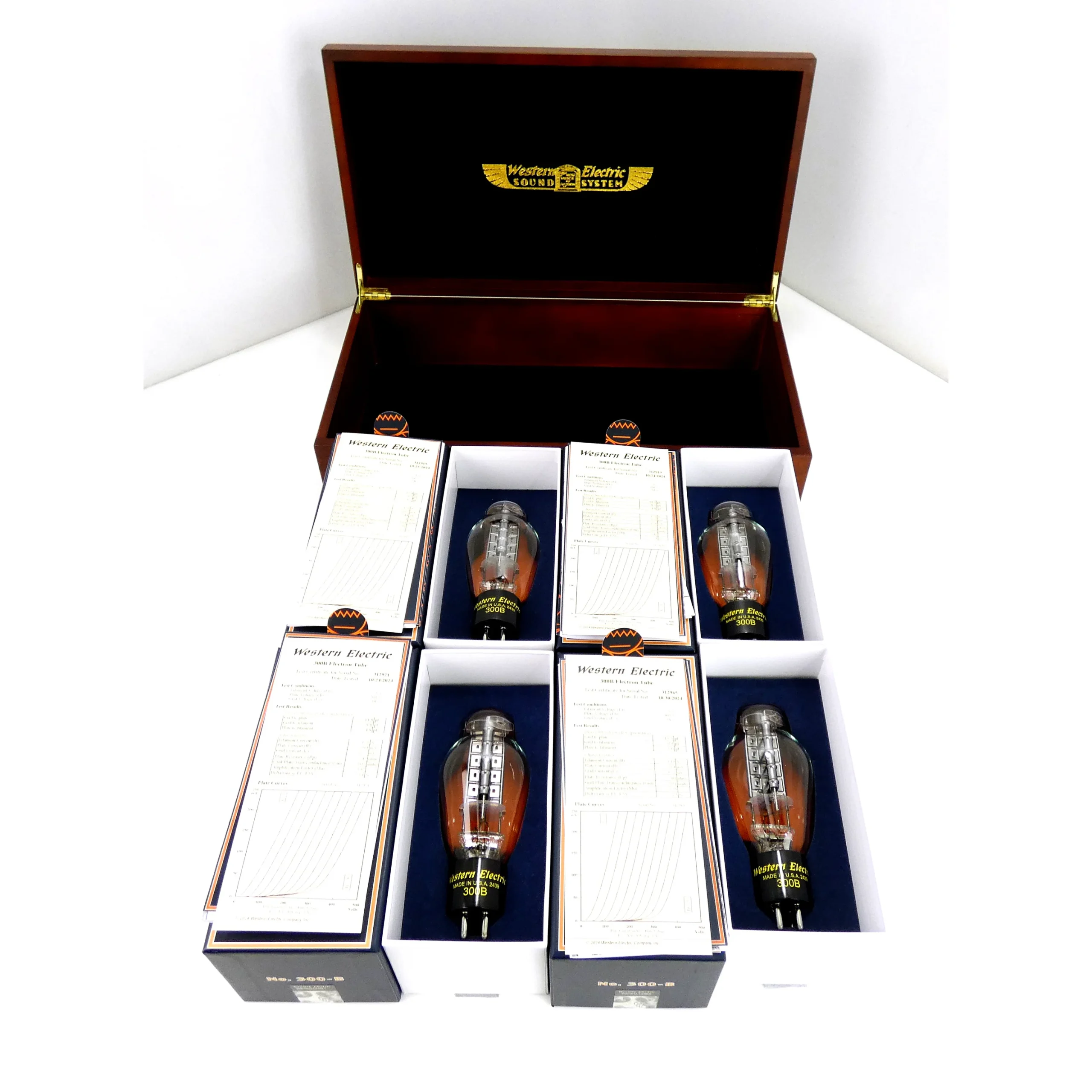 WE1.webp 300B Vacuum Tubes