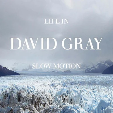 David Gray-Life in Slow Motion: 20th Anniversary Deluxe Edition(Colored Vinyl 2LP) * * *
