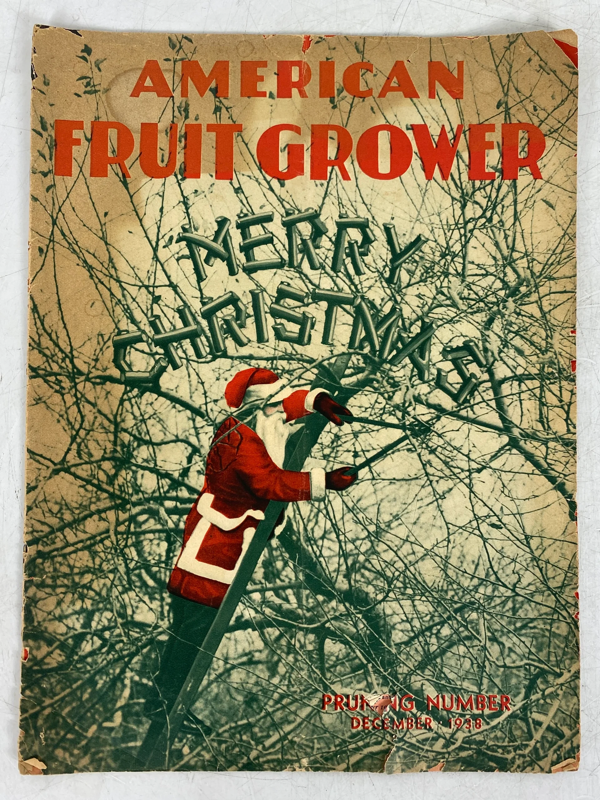 Lot of 12 American Fruit Grower Magazines (1906-1941)