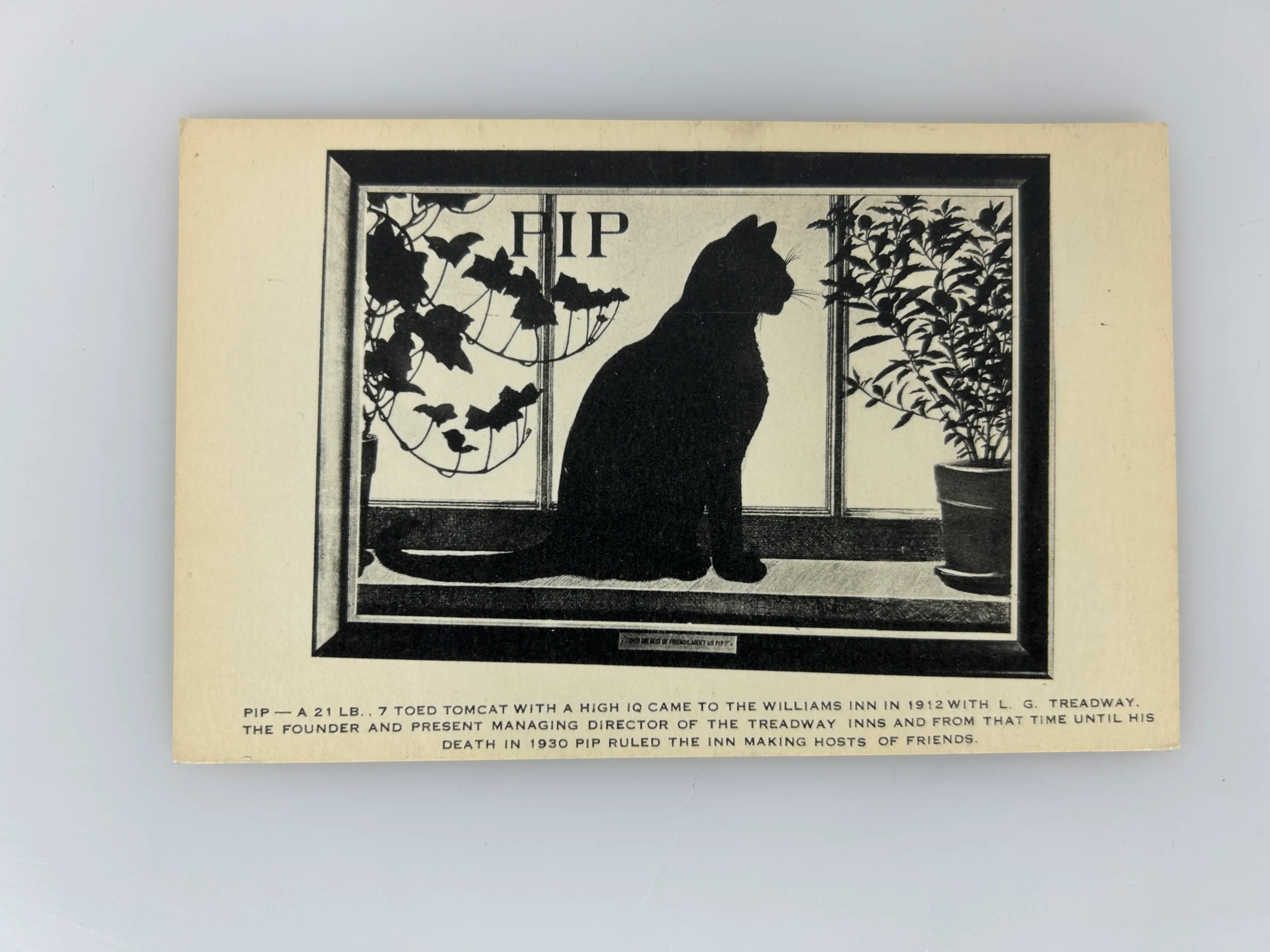 Remembering Pip-Silhouette Art of Kitty Cat-Williams Inn-Mass-Vintage Postcard