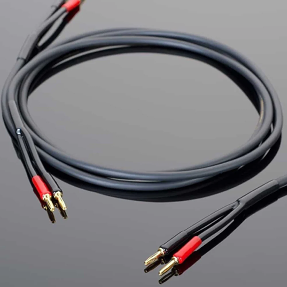 Transparent Hardwired Speaker Cable
