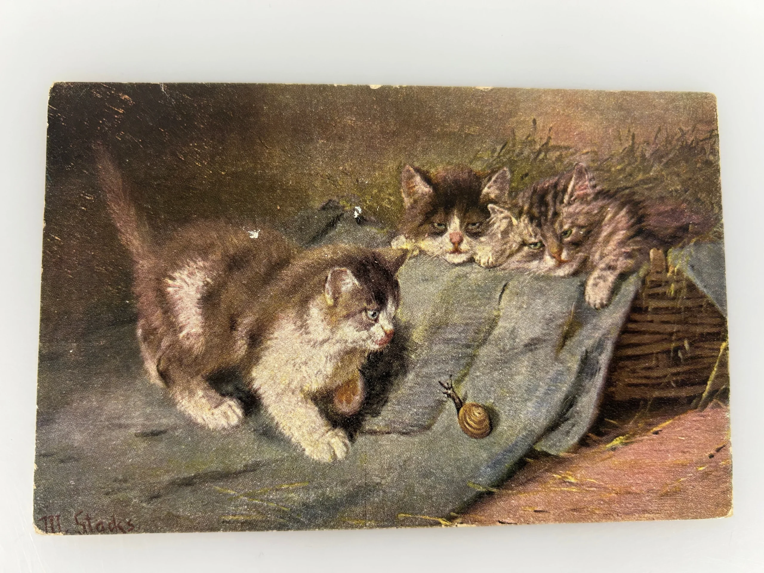 vintage-postcard-three-cats-and-a-snail-henriette-ronner-knip-1900s.webp Vintage Postcard "Three Cats and a Snail" Henriette Ronner-Knip 1900s